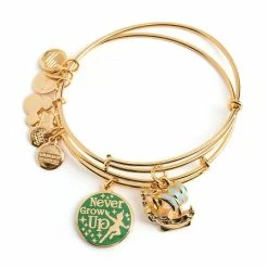 Disney Alex And Ani Bracelet Set - Peter Pan - Never Grow Up