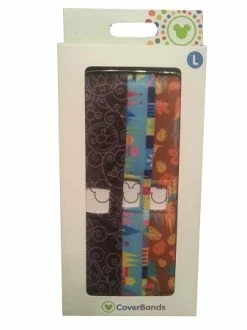 Disney Magic Band - Cover Bands - Magic Kingdom Attractions